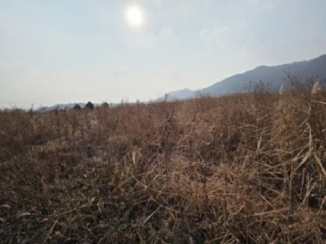 B000522202501300305433.jpg