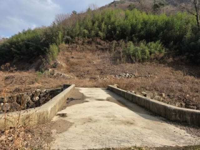 B000522202501300305493.jpg