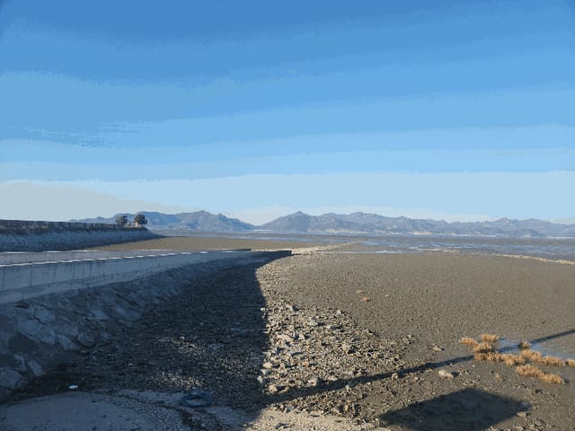 B000522202501300305532.jpg