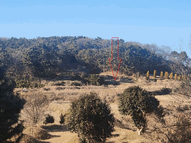 B000522202501300305734.jpg
