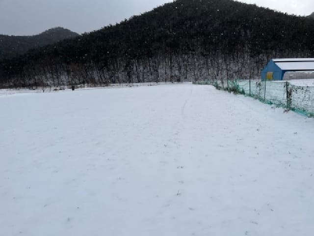 B000522202601300000051.jpg