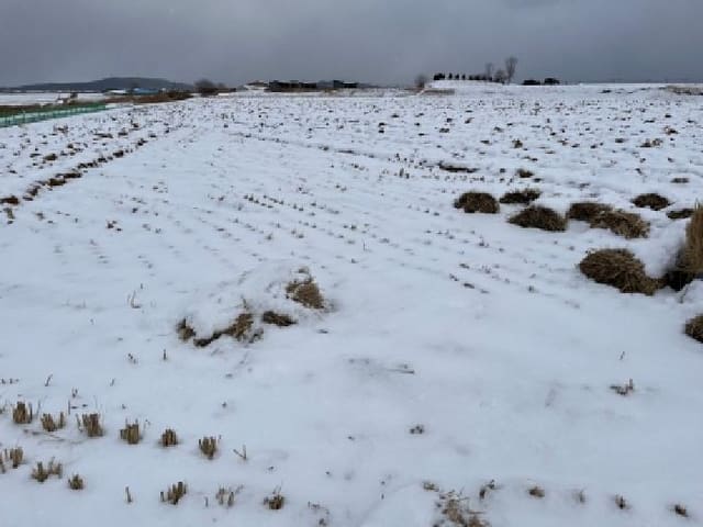 B000522202601300300201.jpg