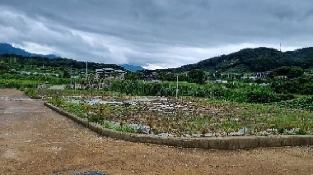 B000523202501300011724.jpg