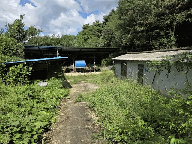B000523202501300011766.jpg