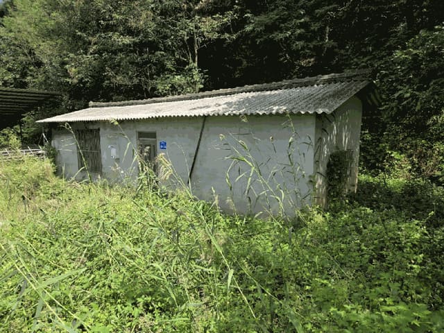 B000523202501300011767.jpg