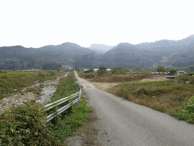 B000523202501300011804.jpg