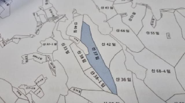 B000523202501300011903.jpg