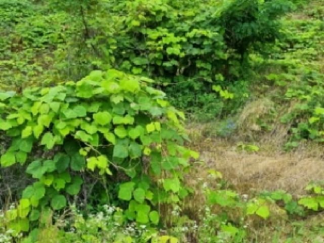 B000523202501300301872.jpg