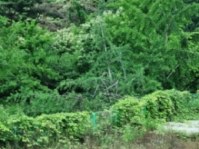 B000523202501300301871.jpg
