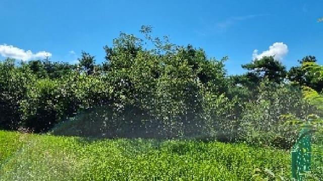 B000523202501300302384.jpg