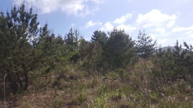 B000530201601300031042.jpg