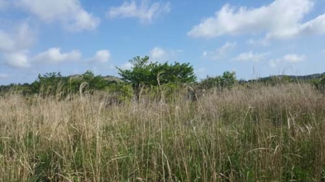 B000530201601300031041.jpg