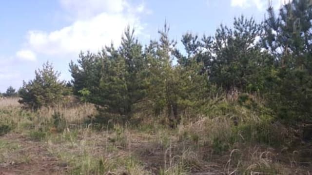 B000530201601300031043.jpg