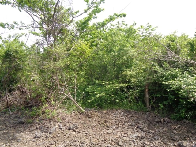B000530201601300031283.jpg