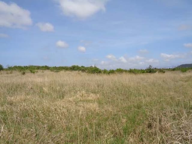 B000530201601300031591.jpg