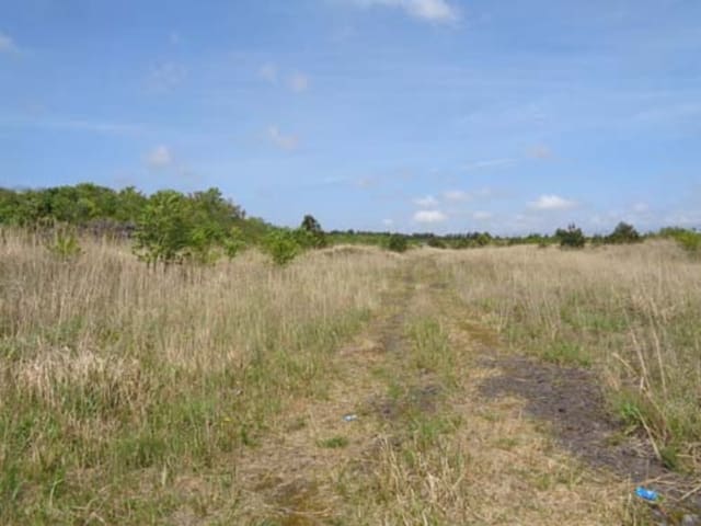 B000530201601300031593.jpg