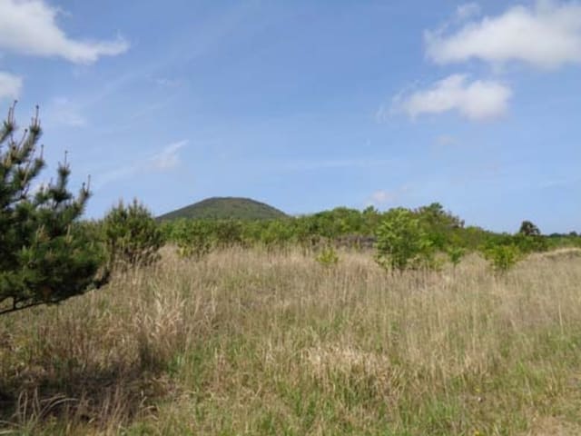 B000530201601300031594.jpg