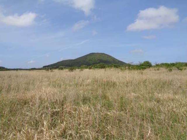 B000530201601300031592.jpg
