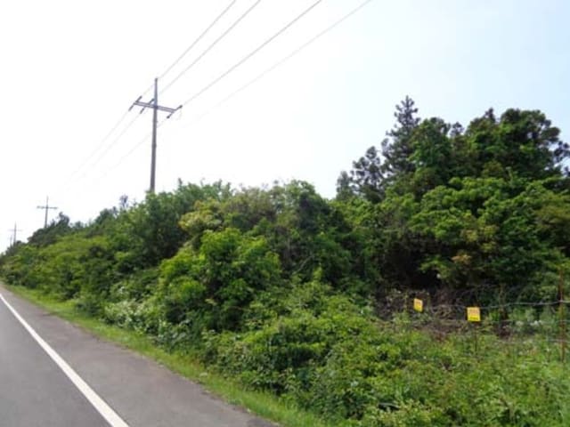 B000530201601300060351.jpg