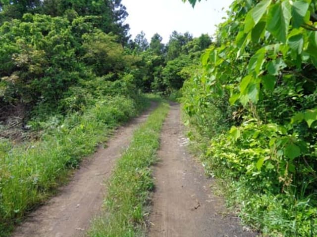 B000530201601300060353.jpg