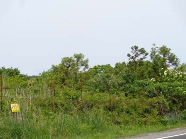 B000530201601300060352.jpg