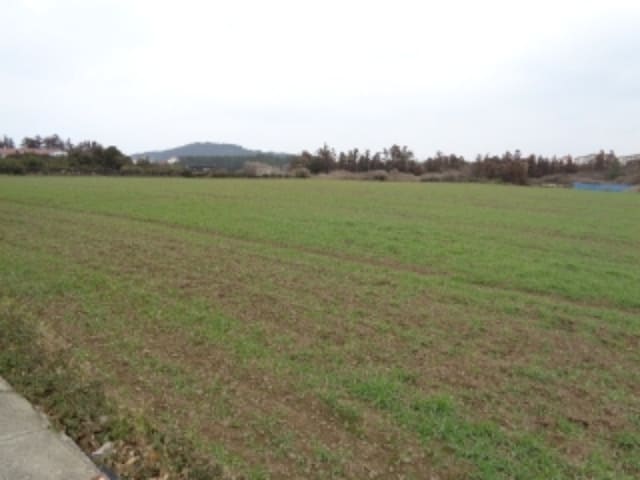 B000530202301300007211.jpg