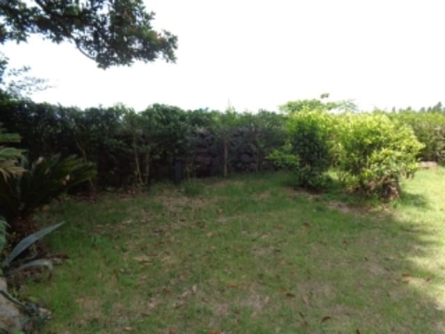 B000530202301300051774.jpg