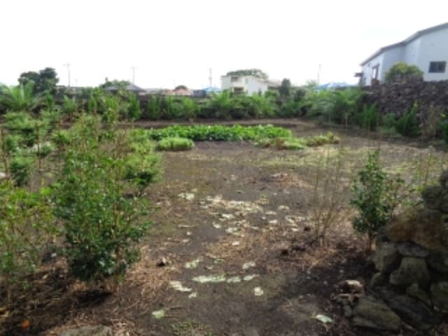 B000530202301300270301.jpg