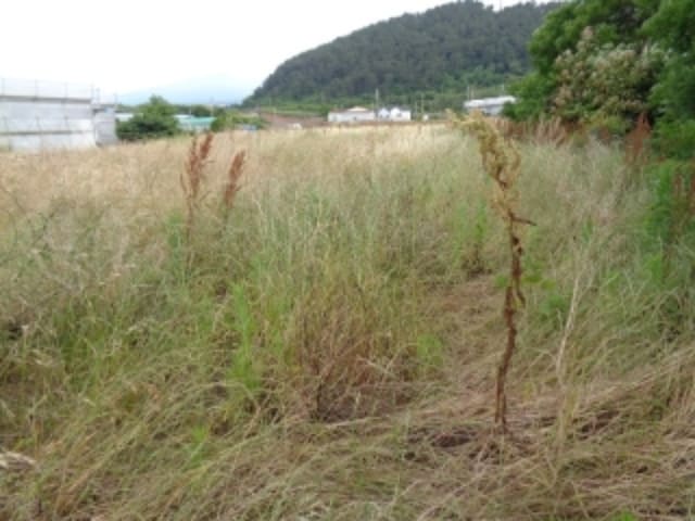 B000530202401300055631.jpg