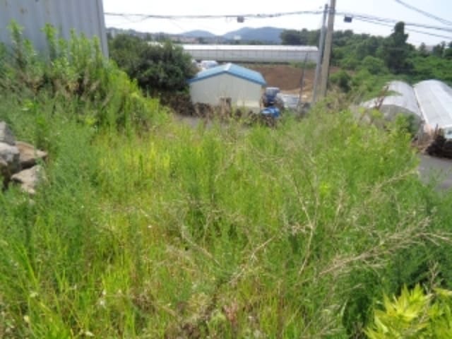 B000530202401300064291.jpg