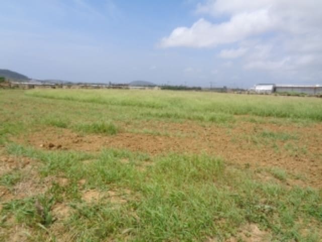 B000530202401300078803.jpg