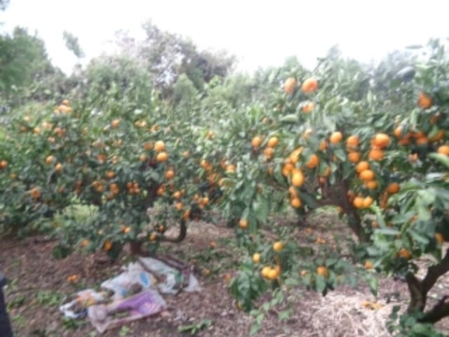 B000530202401300119332.jpg
