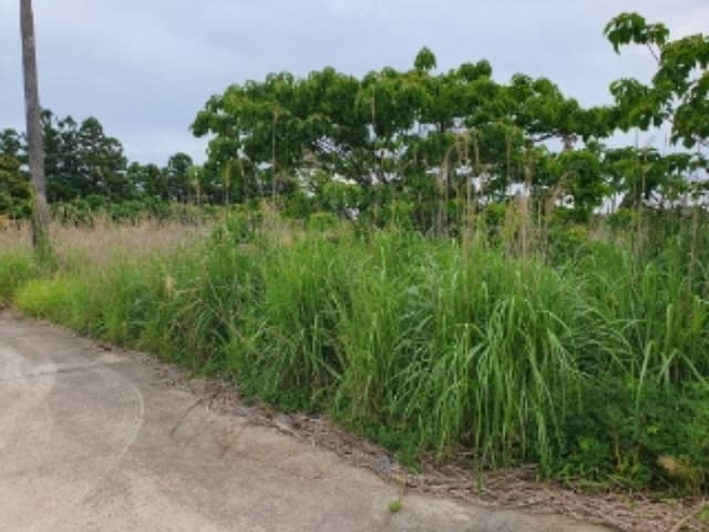 B000530202401300251301.jpg