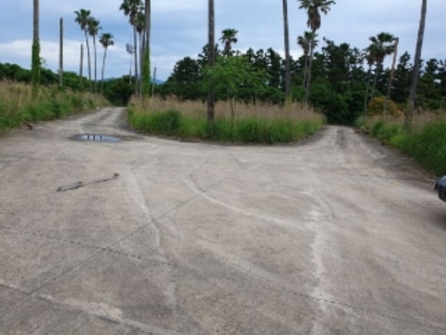 B000530202401300251304.jpg