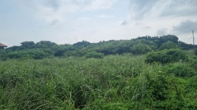 B000530202401300305831.jpg