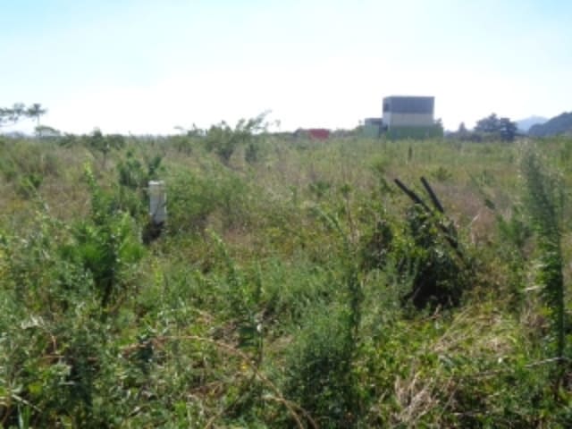 B000530202401300307983.jpg