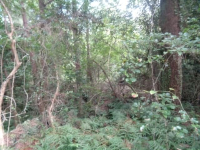 B000530202401300320601.jpg