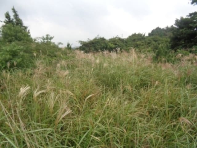 B000530202401300320603.jpg