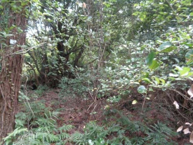 B000530202401300320604.jpg
