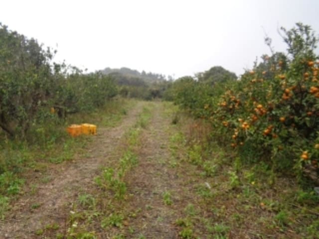 B000530202401300327874.jpg
