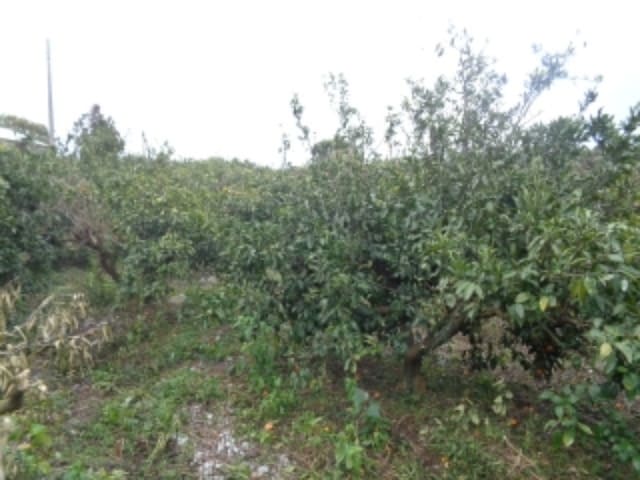B000530202401300327871.jpg