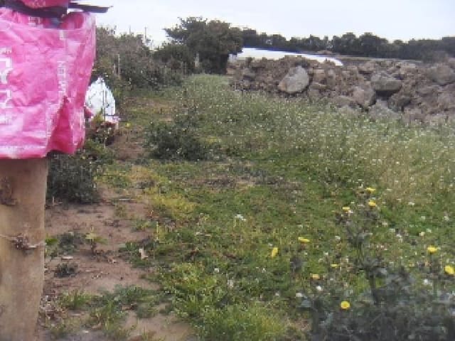 B000530202401300357791.jpg