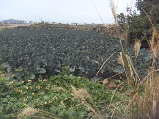 B000530202401300357792.jpg