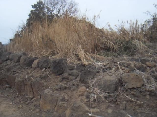 B000530202401300357793.jpg