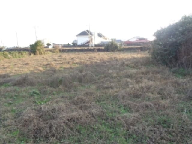 B000530202401300358162.jpg