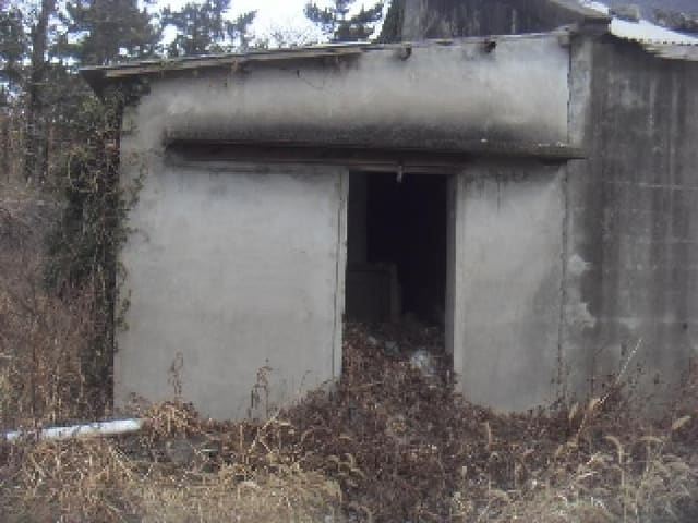B000530202401300367651.jpg