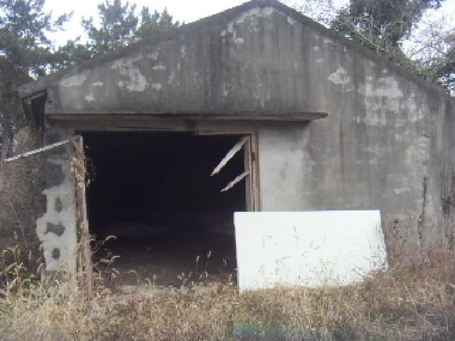 B000530202401300367653.jpg