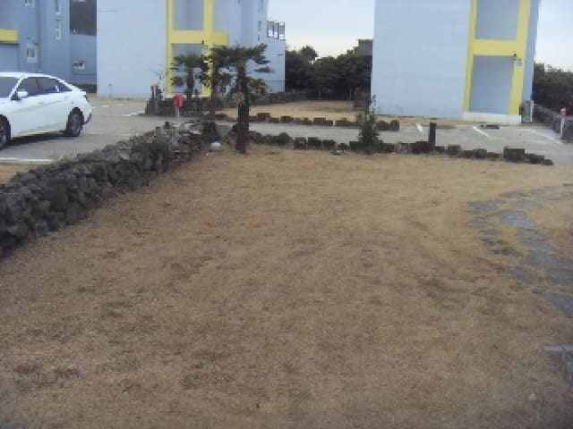 B0005302024013003694912.jpg