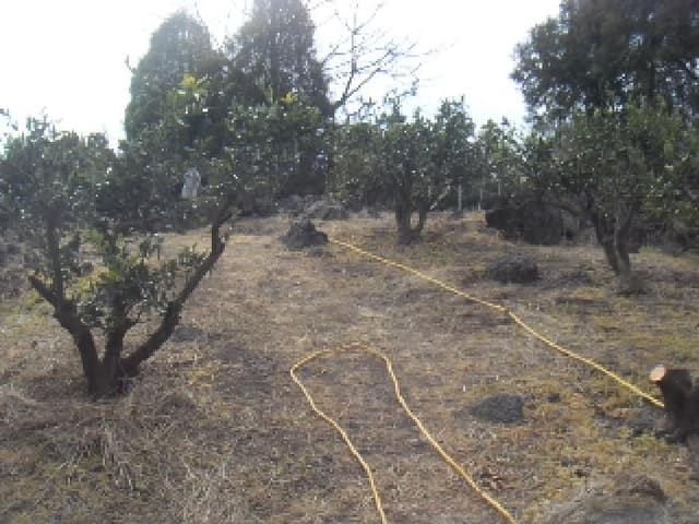B000530202401300369701.jpg