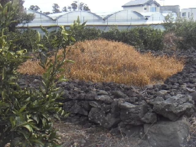 B000530202401300369704.jpg